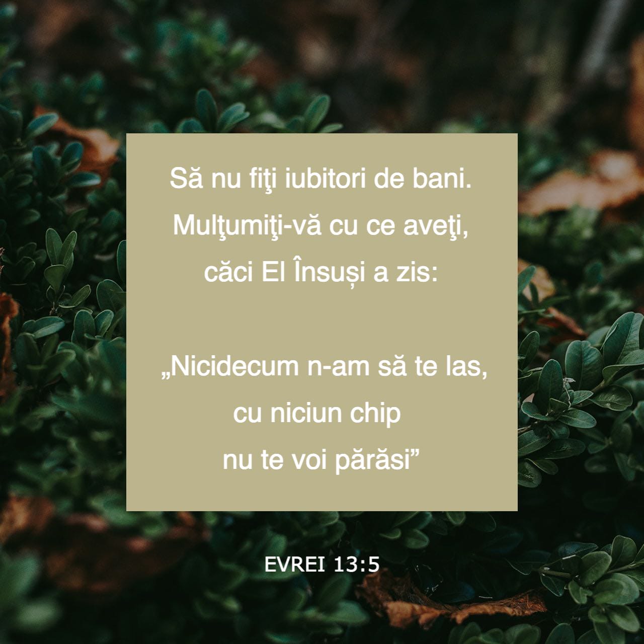 evrei 13 5 să