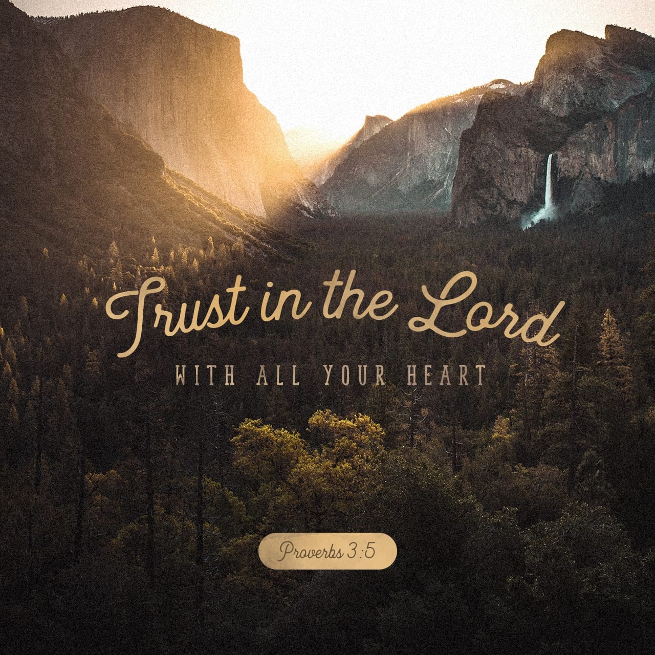 Proverbs 3:5 Trust in the LORD with all thine heart; and lean not unto