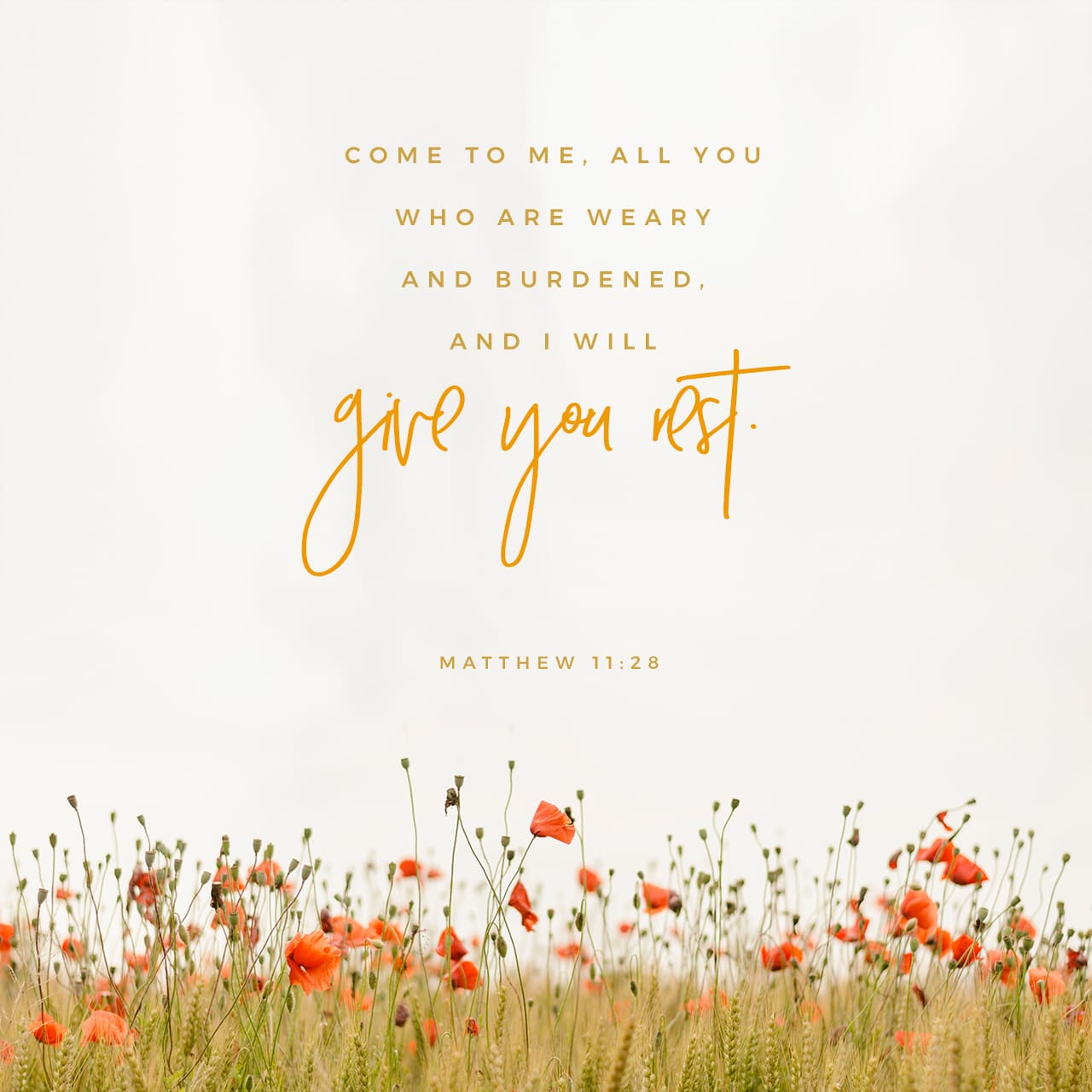 Matthew 11 28 Come To Me All You Who Are Weary And Burdened And I 