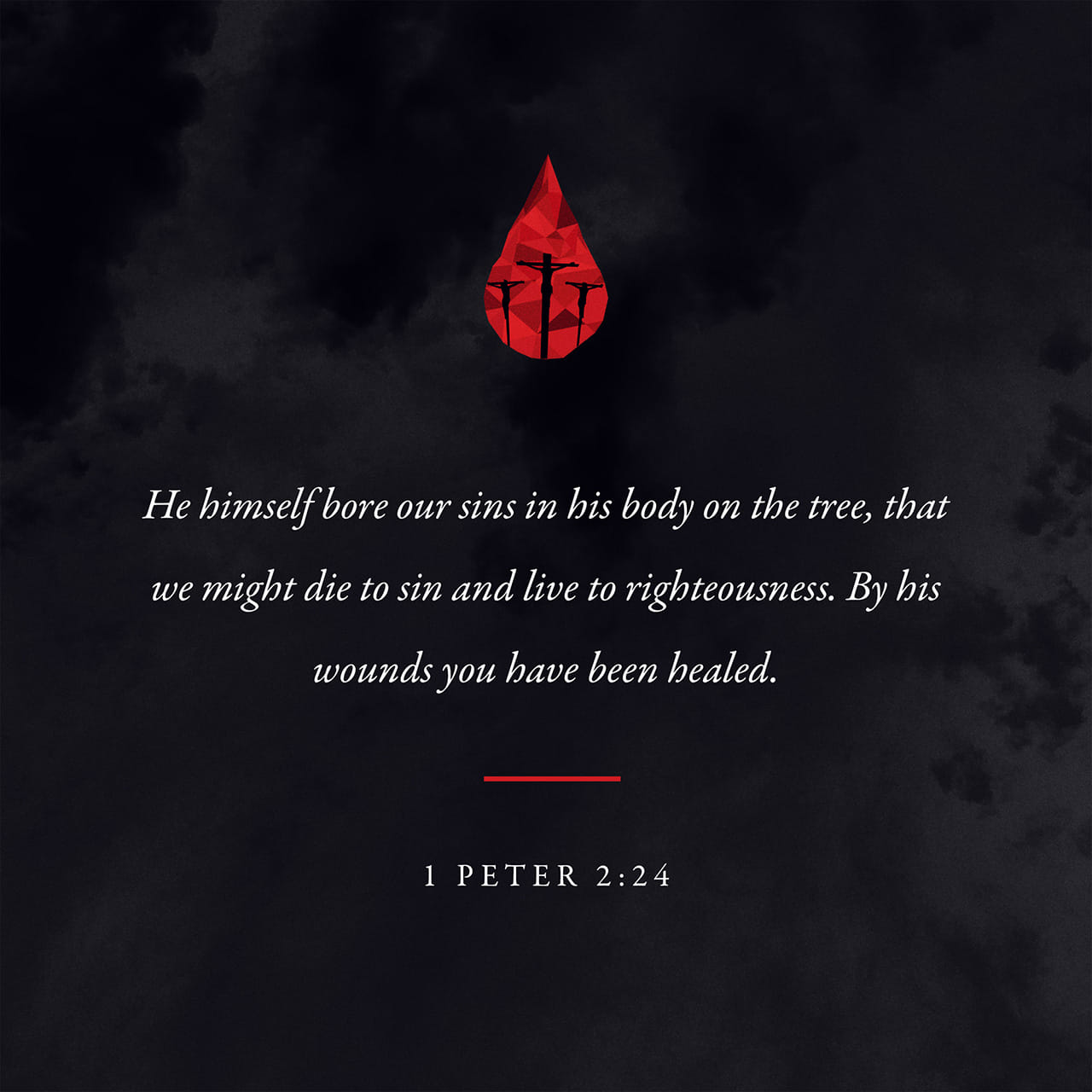 1-peter-2-24-who-his-own-self-bare-our-sins-in-his-own-body-on-the-tree