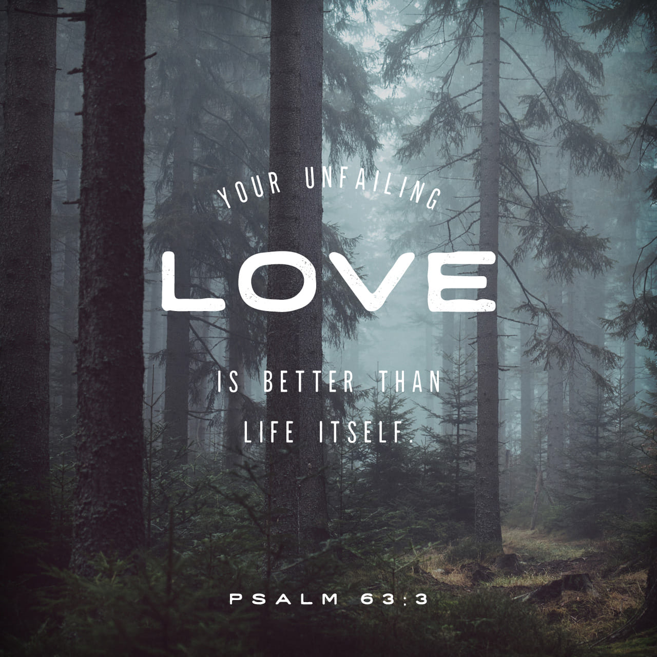 Psalms 63 3 Because Thy Lovingkindness Is Better Than Life My Lips psalms-63-3-because-thy-lovingkindness-is-better-than-life-my-lips