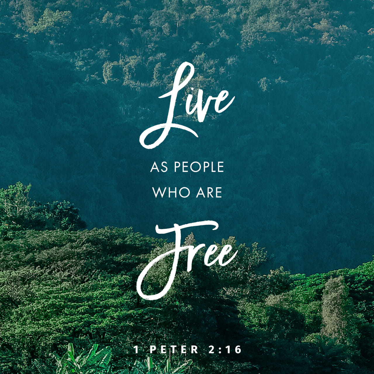 1 Peter 2 13 15 Submit Yourselves For The Lord s Sake To Every Human 