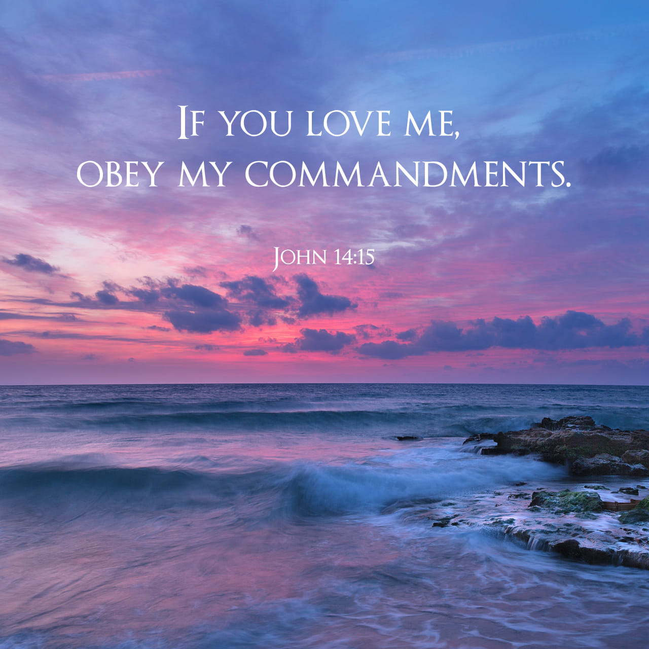 John 14 15 If You Love Me Keep My Commands New International 