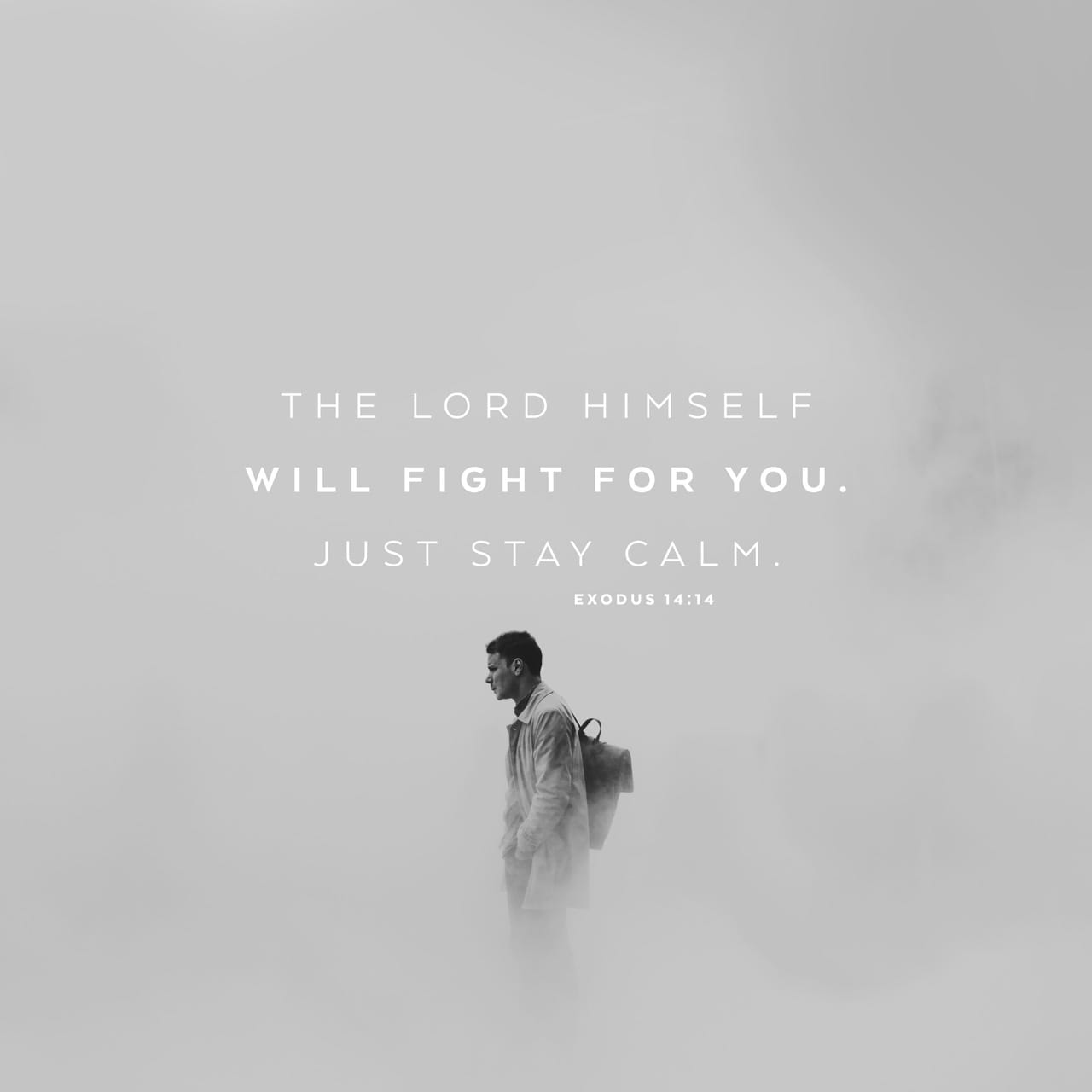 exodus-14-14-the-lord-will-fight-for-you-while-you-only-need-to-keep