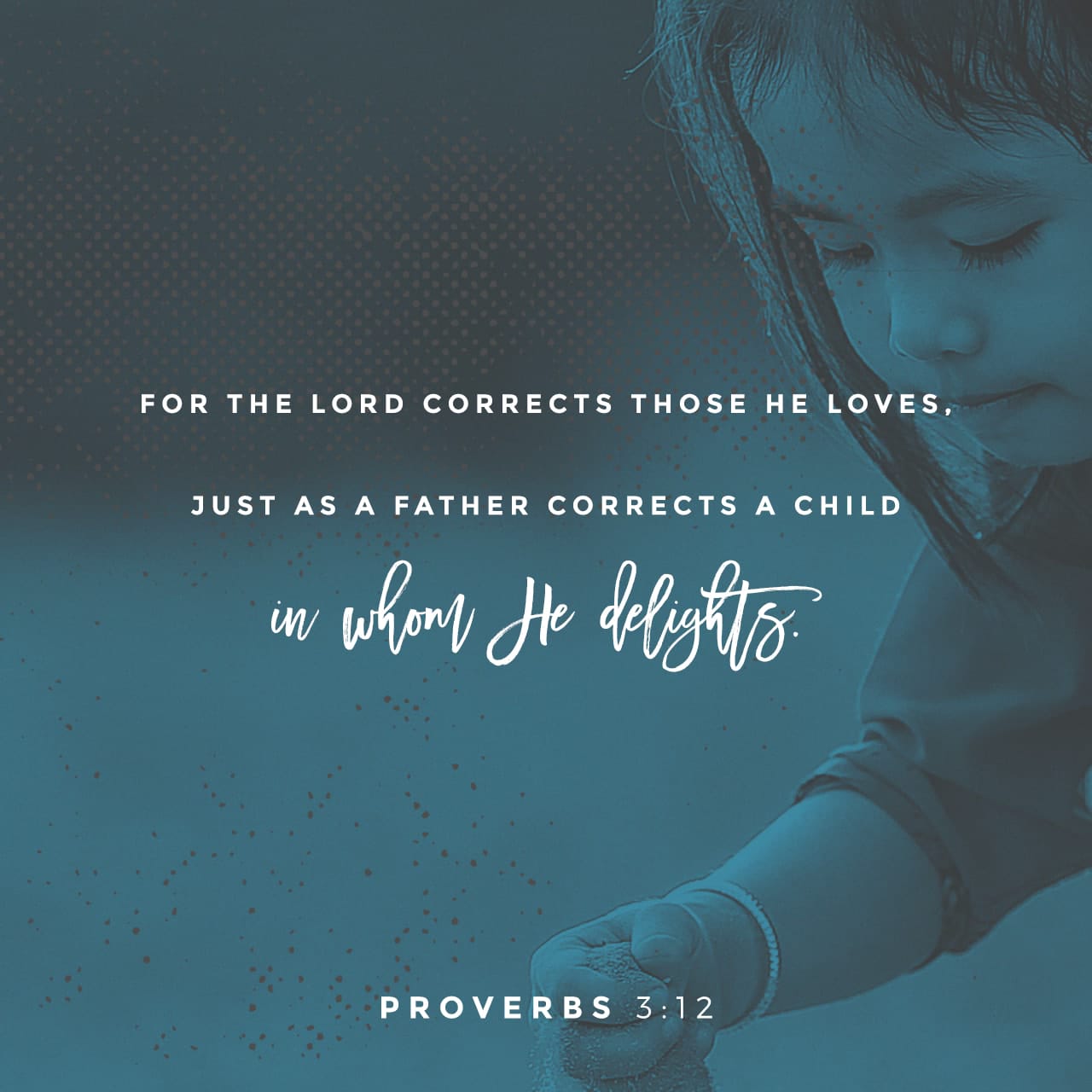 Proverbs 3 11 12 My Son Do Not Despise The LORD s Discipline Or Be 