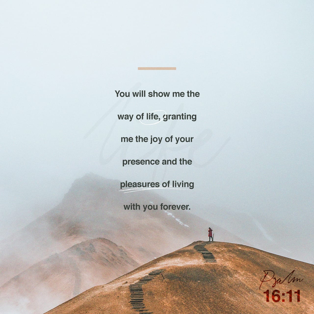 psalms-16-11-you-will-show-me-the-way-of-life-granting-me-the-joy-of