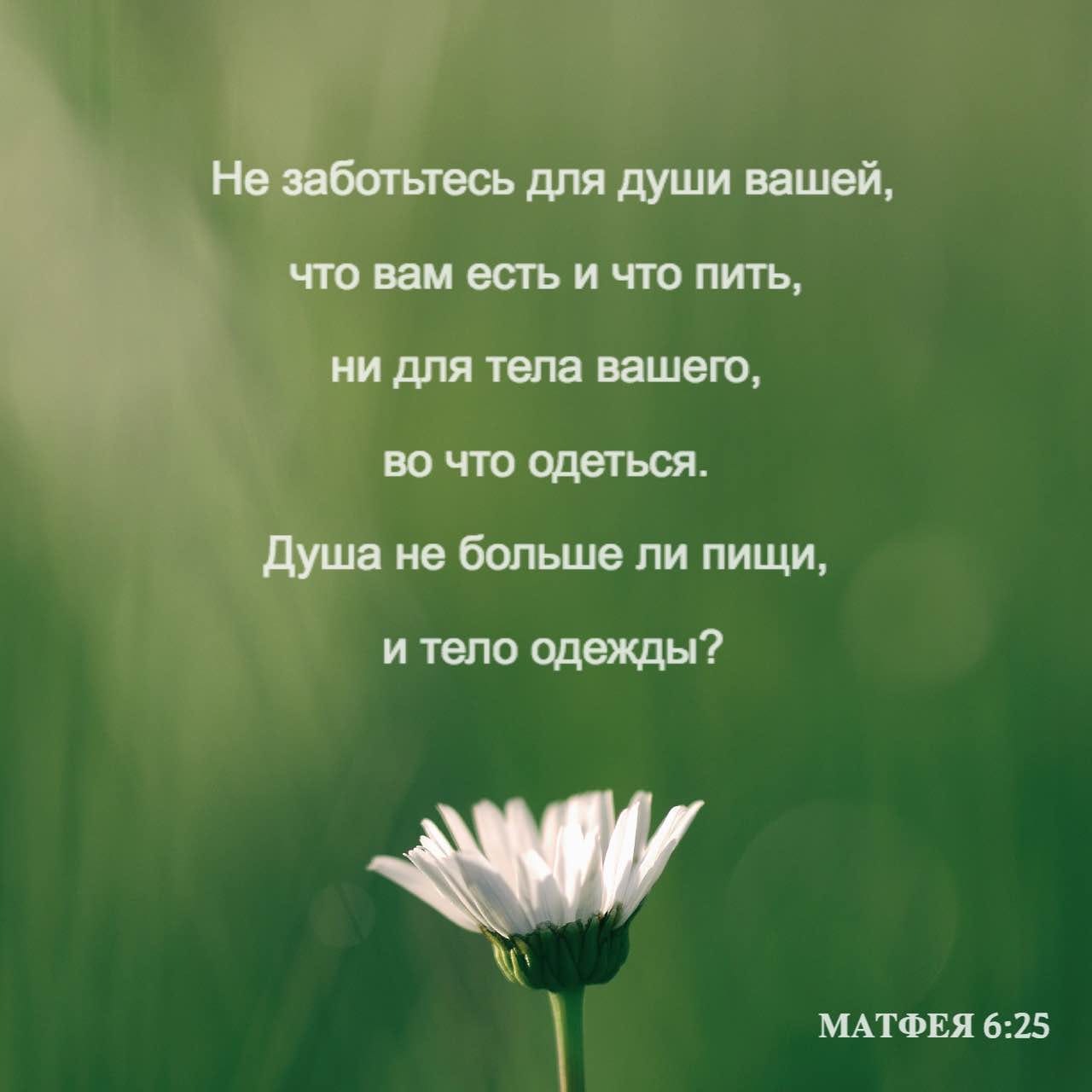 Смотреть Не будьте, как лицемеры видео Смотреть Не будьте, как лицемеры видео