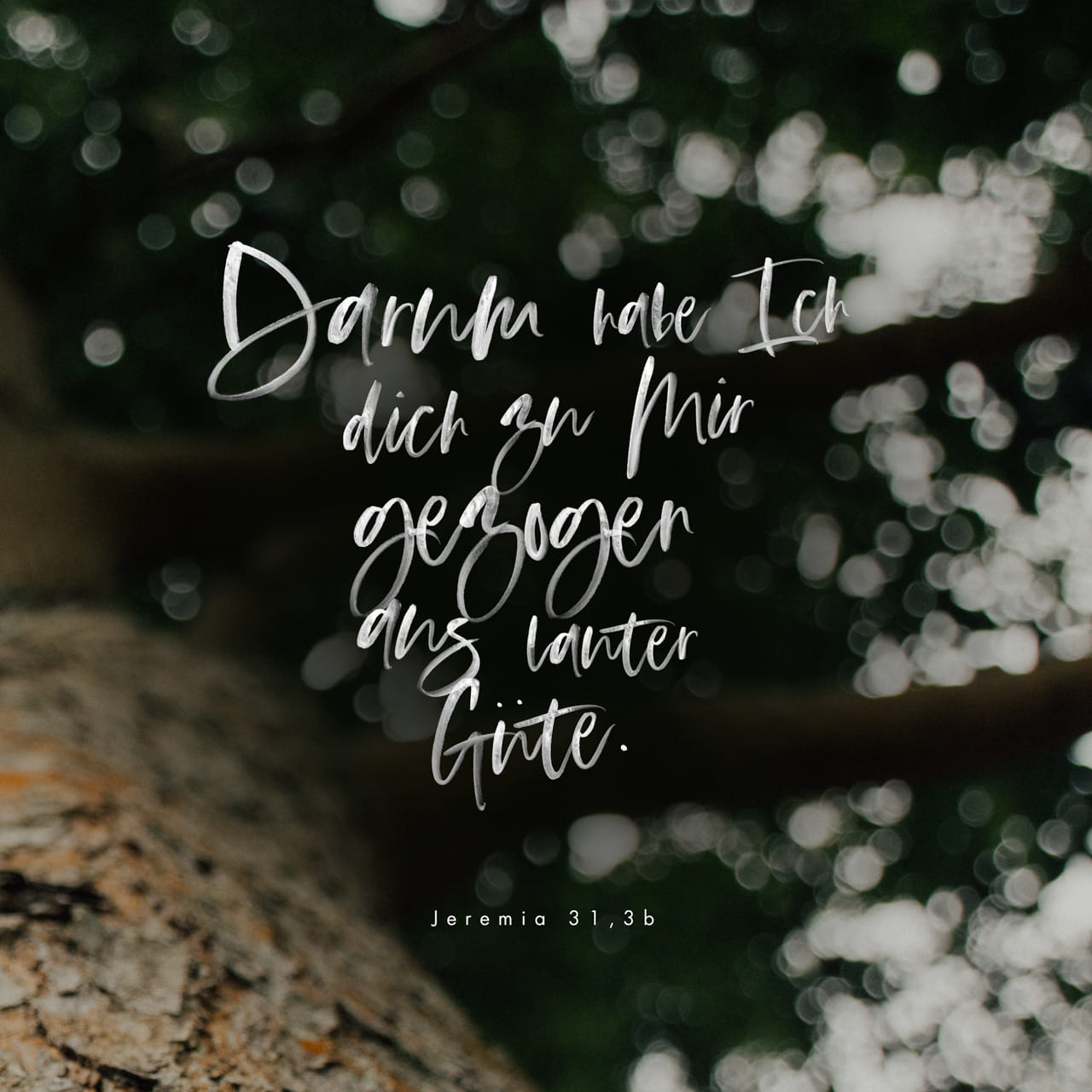 Jeremia 313 Der HERR ist mir erschienen von ferne Ich habe dich je und je geliebt; darum habe