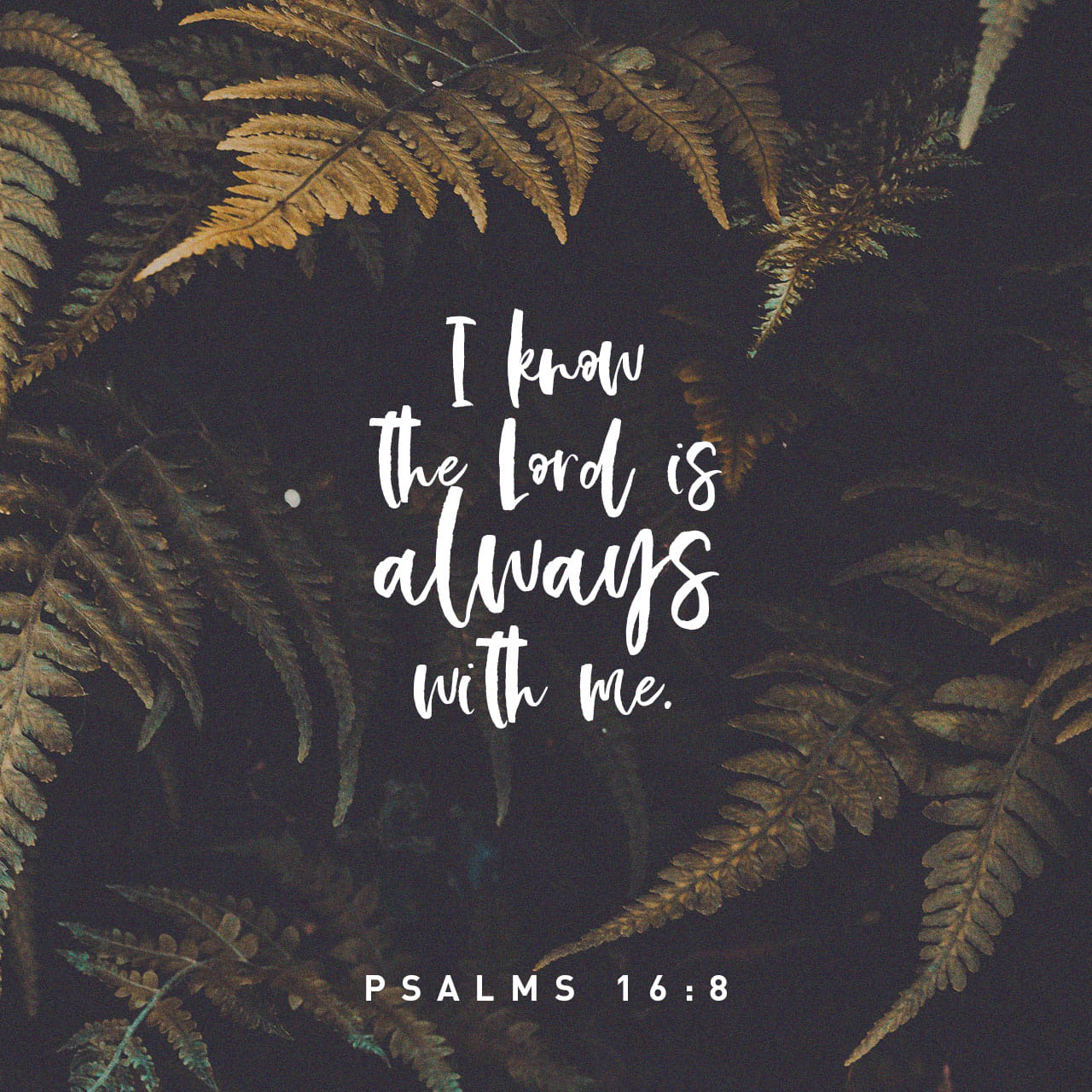 psalms-16-8-i-have-set-the-lord-always-before-me-because-he-is-at-my