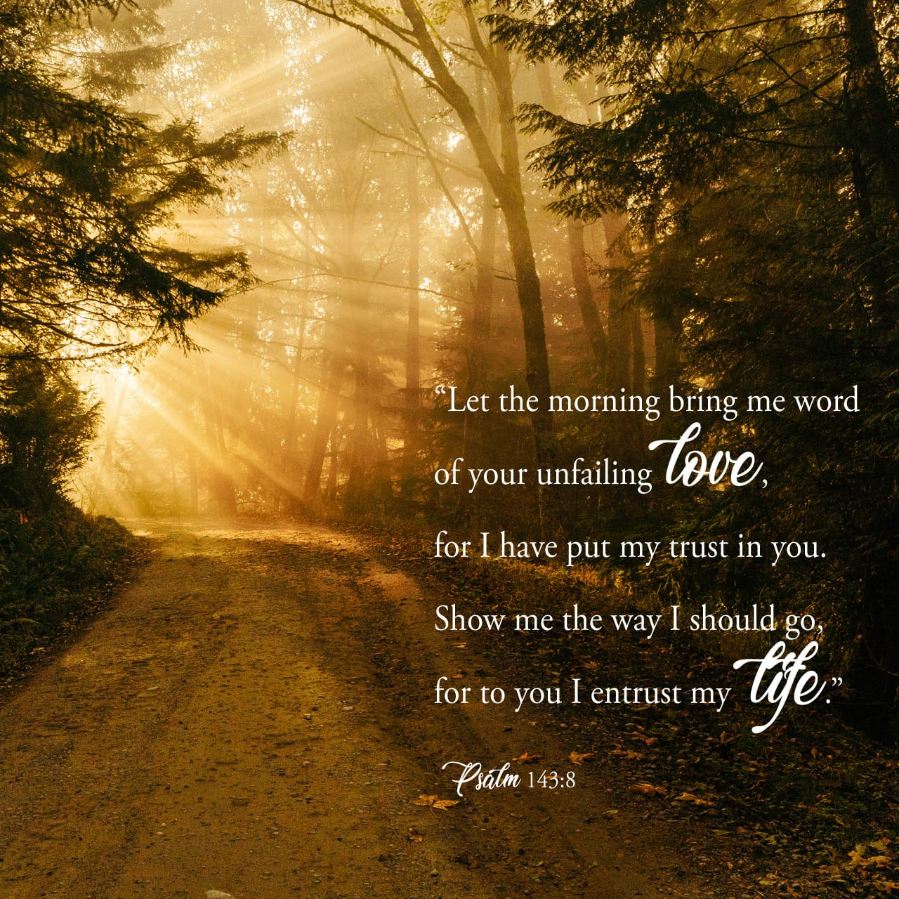 Psalms 143:8 Let The Morning Bring Me Word Of Your Unfailing Love, For ...