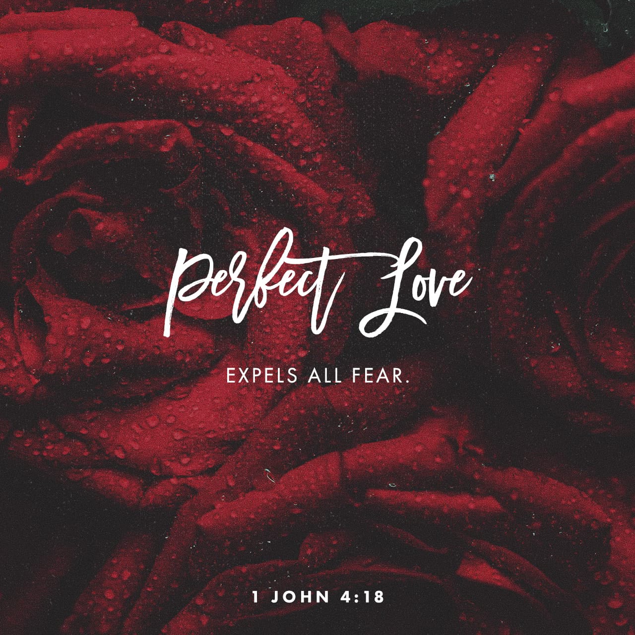 1 John 4 18 There Is No Fear In Love But Perfect Love Drives Out Fear 