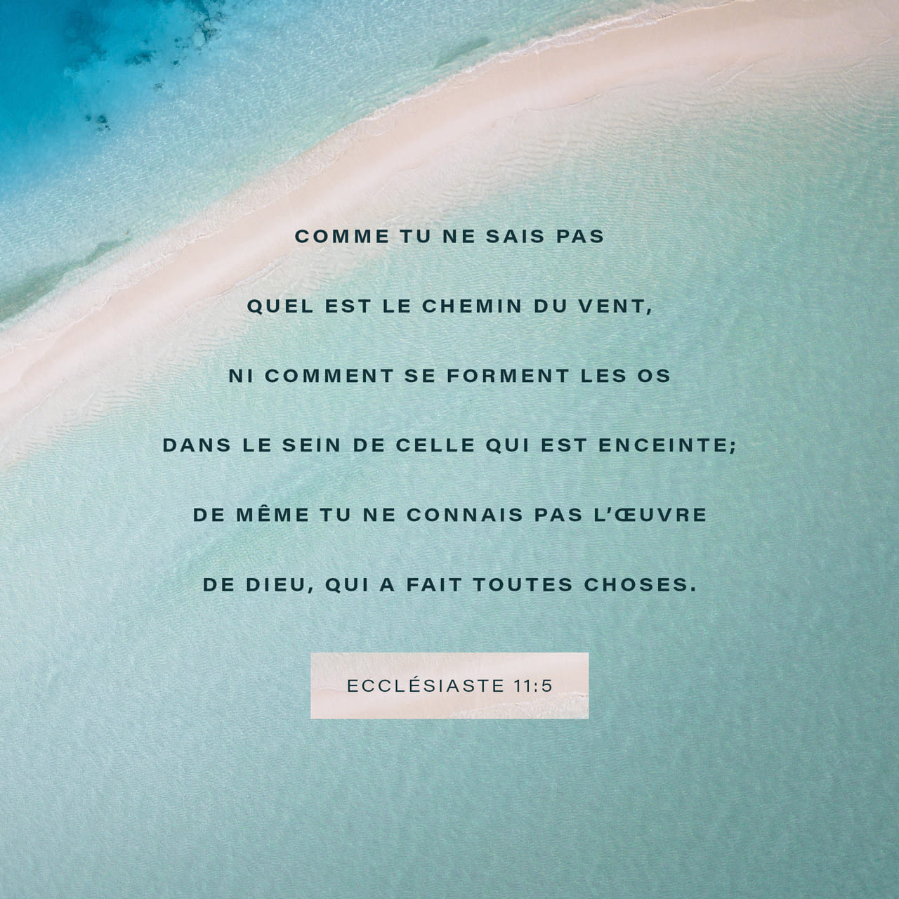 Jette Ton Pain à La Surface Des Eaux