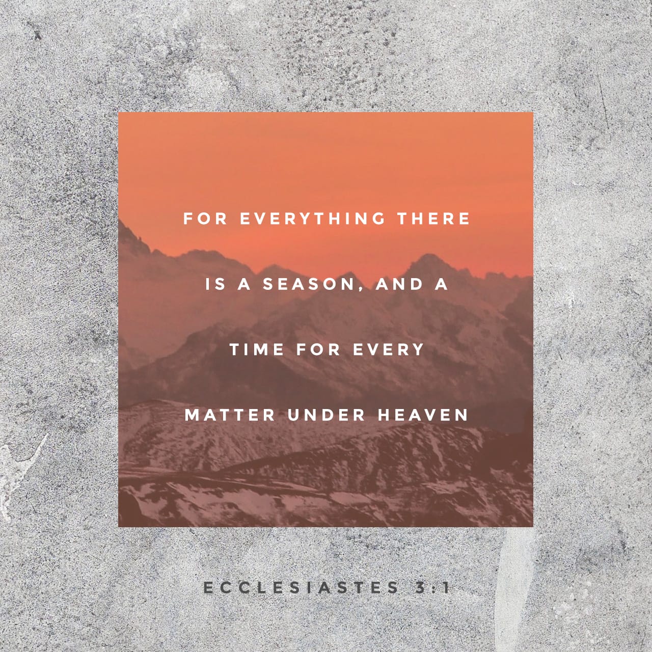 ecclesiastes-3-1-to-everything-there-is-a-season-a-time-for-every