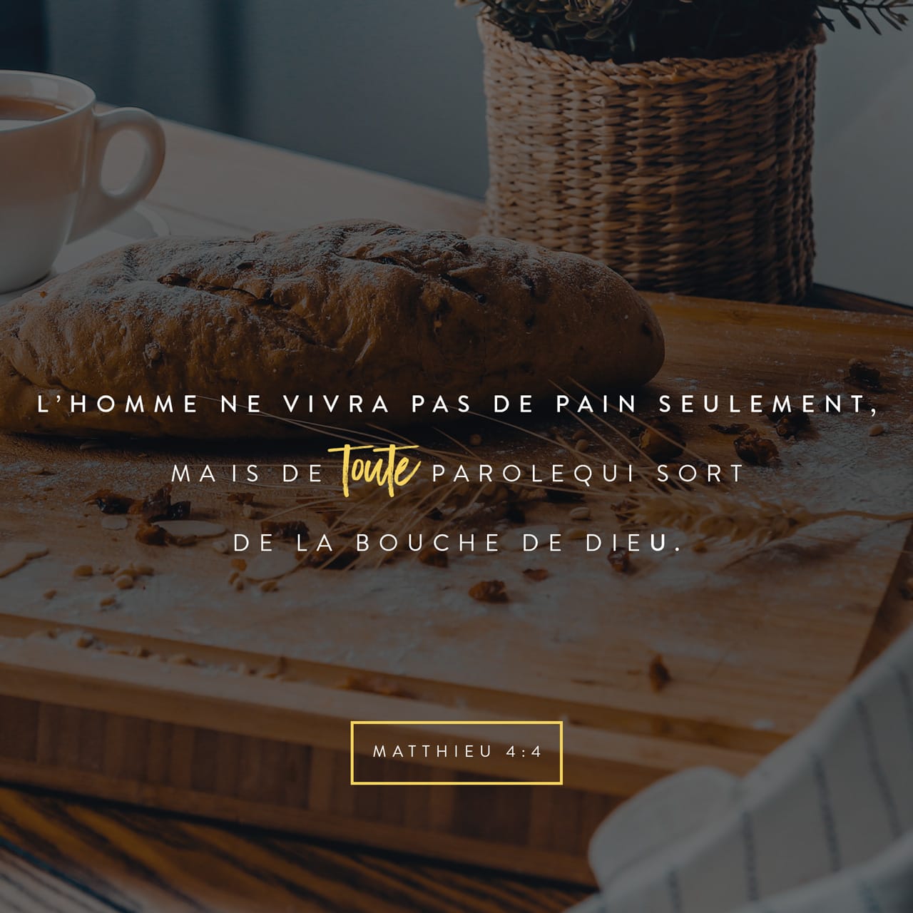 Matthieu 4 4 Jésus Répondit Il Est écrit L Homme Ne Vivra Pas De Pain Matthieu 4 4 Jésus Répondit Il Est écrit L Homme Ne Vivra Pas De Pain