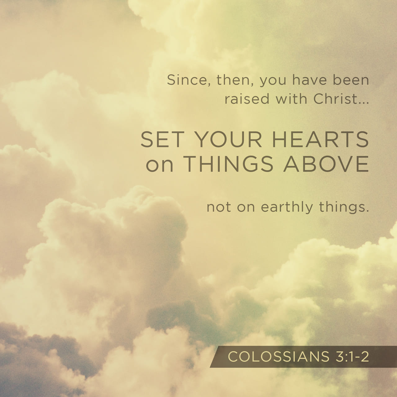 Verse Of The Day Colossians 31 17 The Bible App Biblecom