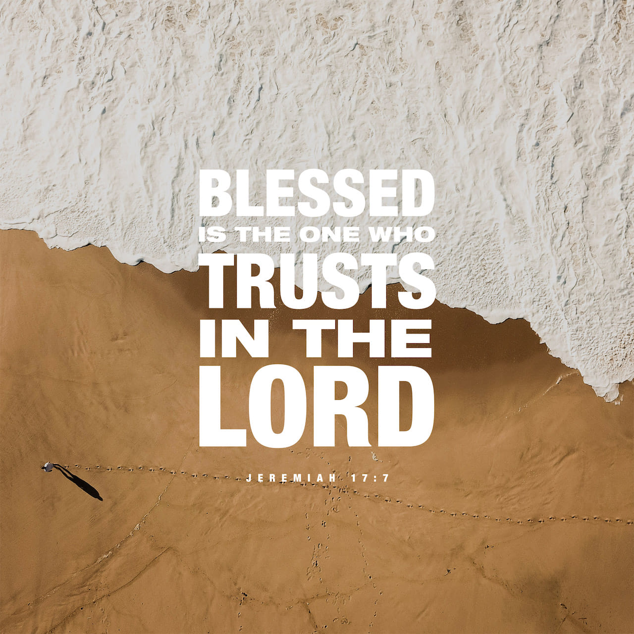 Jeremiah 177 But Blessed Is The One Who Trusts In The Lord