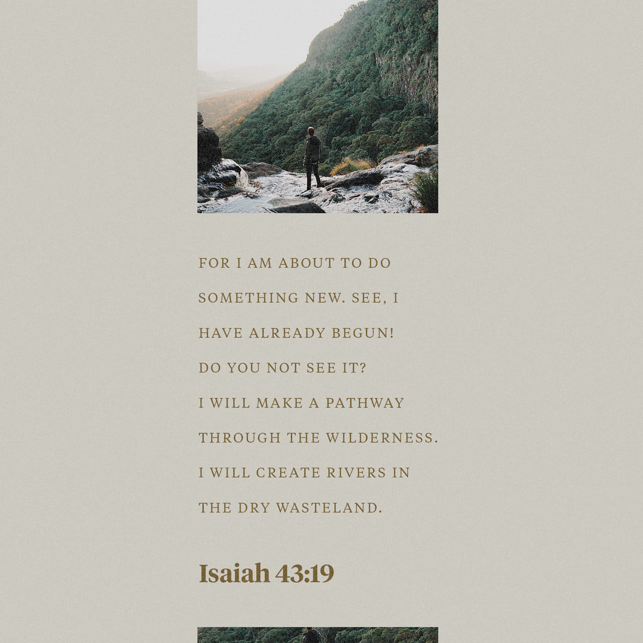 Isaiah 43 19 Behold I Will Do A New Thing Now It Shall Spring Forth 