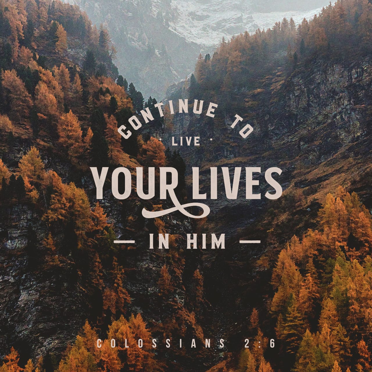 Image result for Colossians 2:6-12