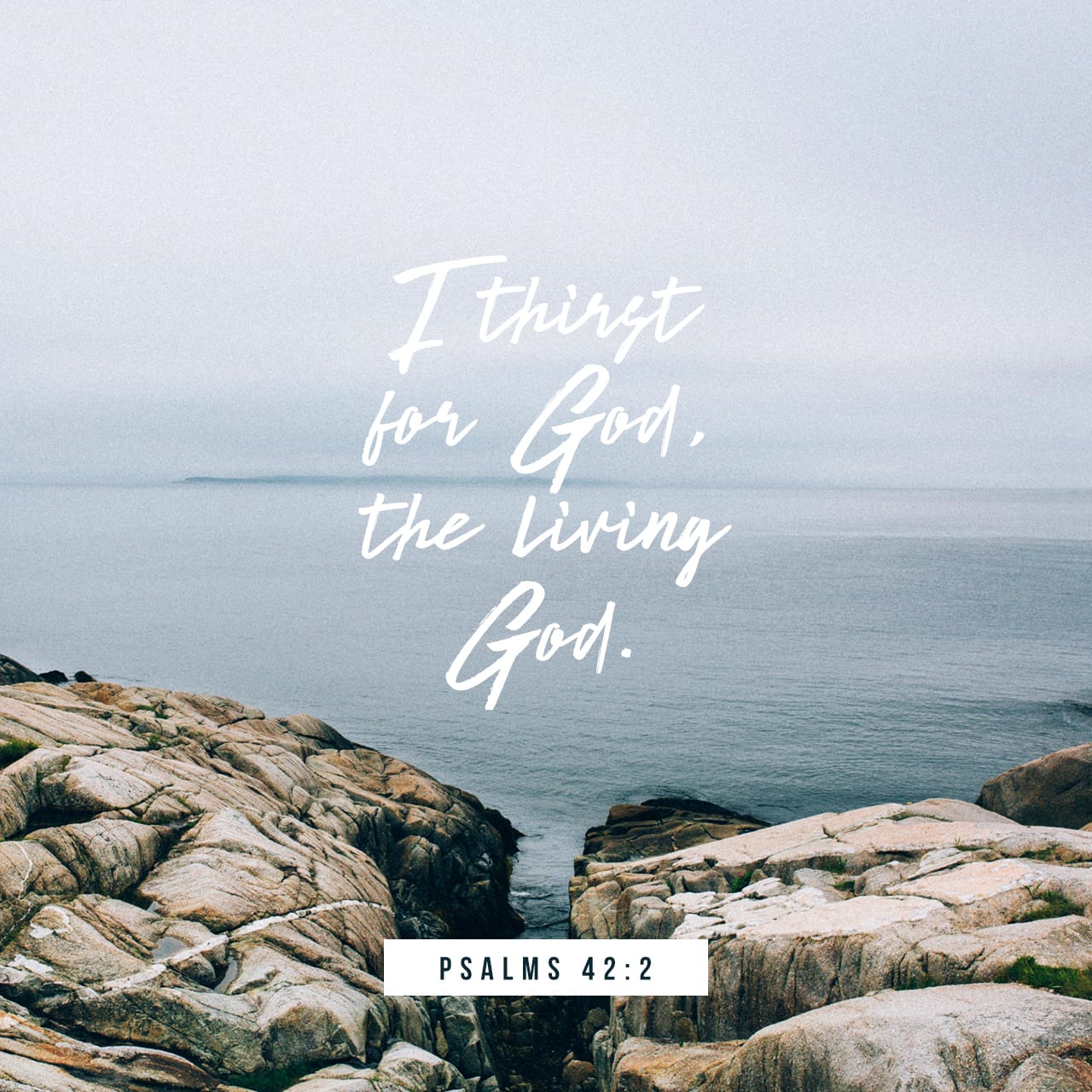 Psalms 42 2 My Soul Thirsteth For God For The Living God When Shall I
