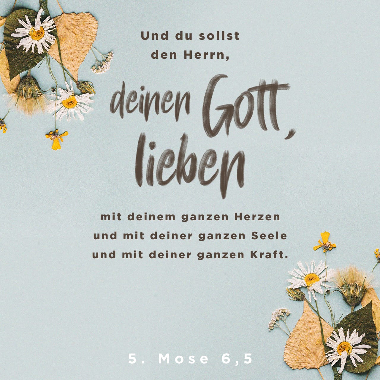 5 Mose 64 5 Höre Israel Jahwe Ist Unser Gott Jahwe Allein Und Du Sollst Jahwe Deinen Gott 