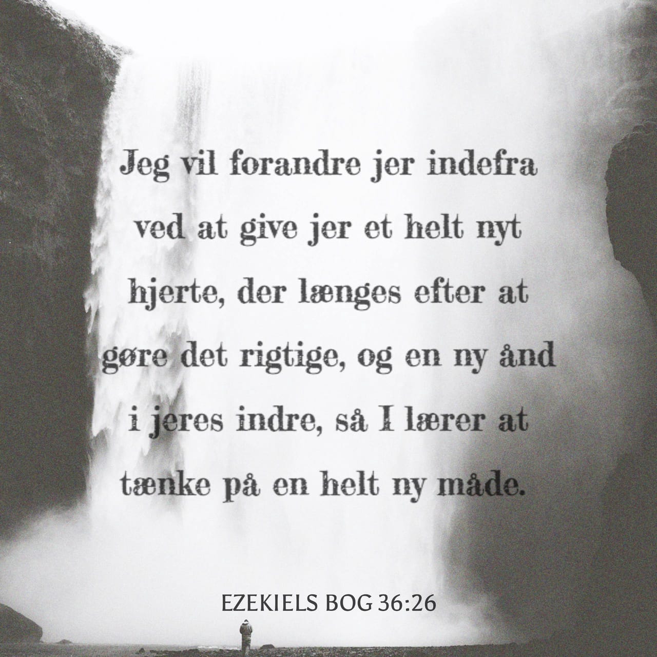 ezekiels bog ezekiels bog
