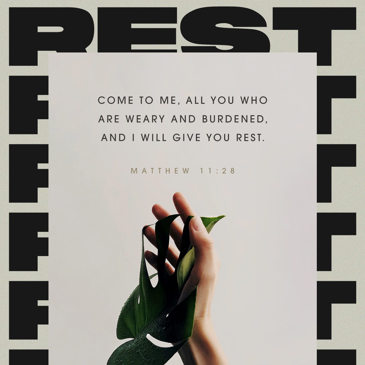 matthew 28 11 15 niv