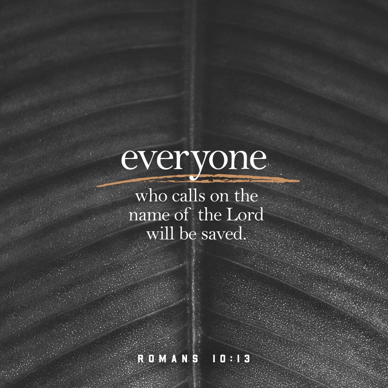 Romans 10 13 For WHOEVER WILL CALL ON THE NAME OF THE LORD WILL BE 