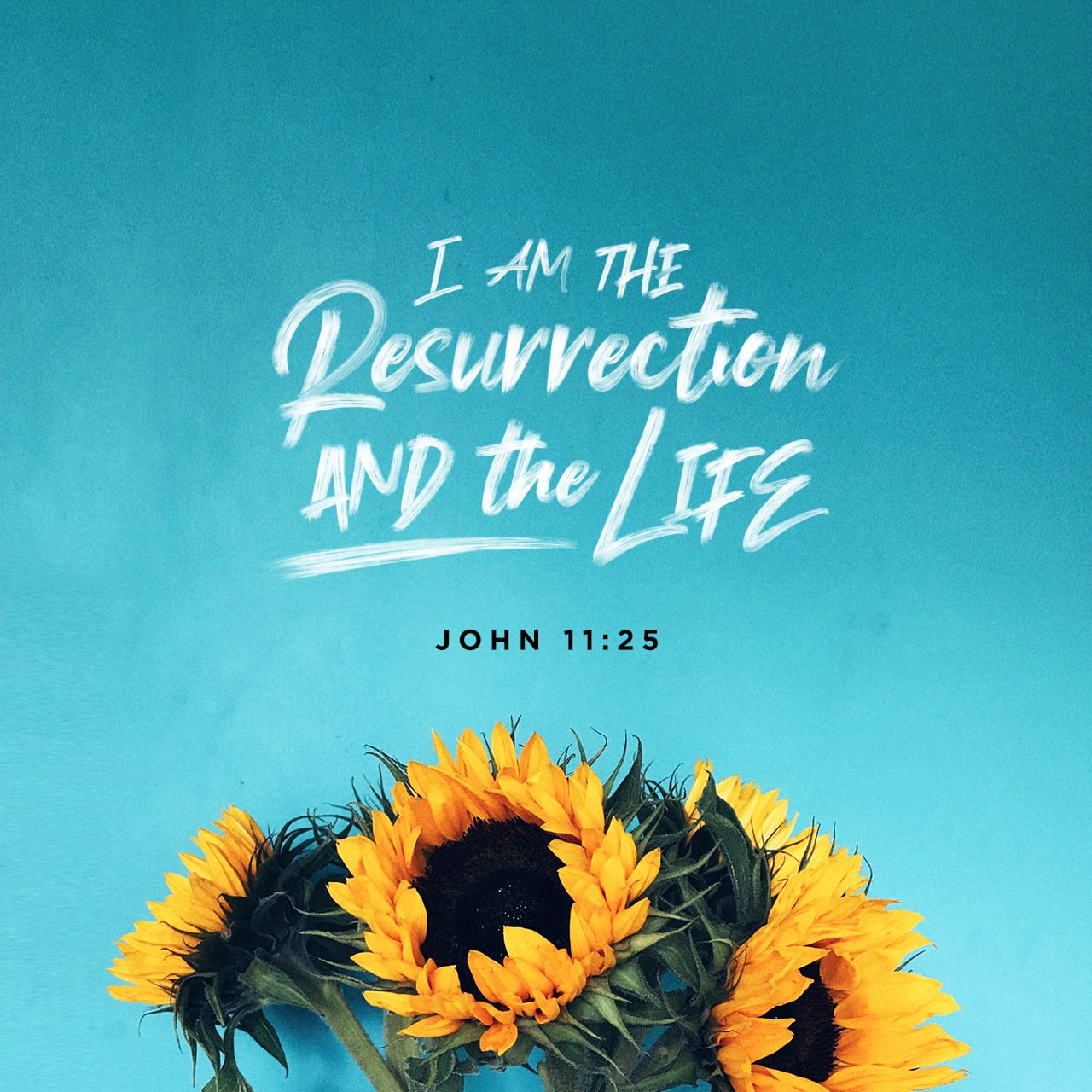 Verse Image for John 11:25