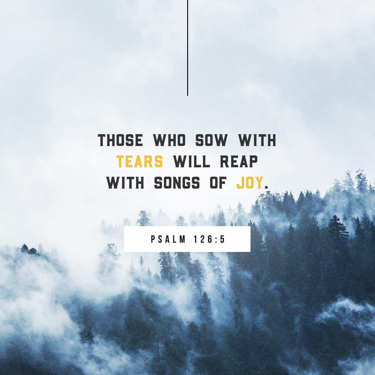 psalm-126-5-those-who-sow-with-tears-will-reap-with-songs-of-joy-new