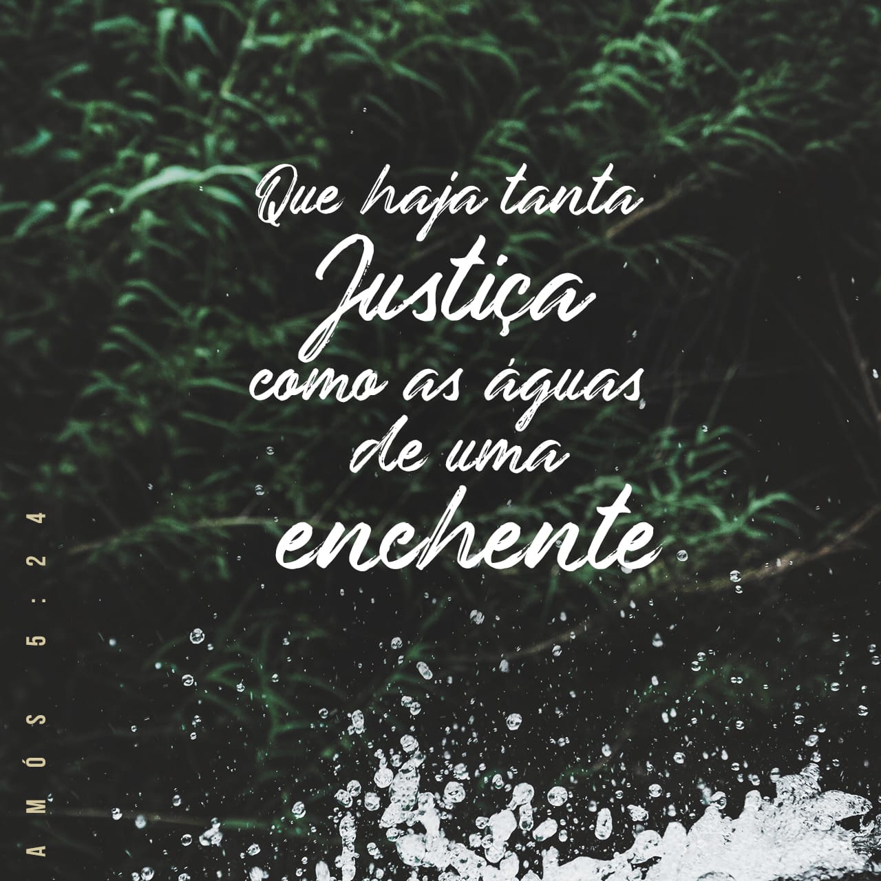 Amós 52124 O SENHOR diz ao seu povo — Eu odeio, eu detesto as suas