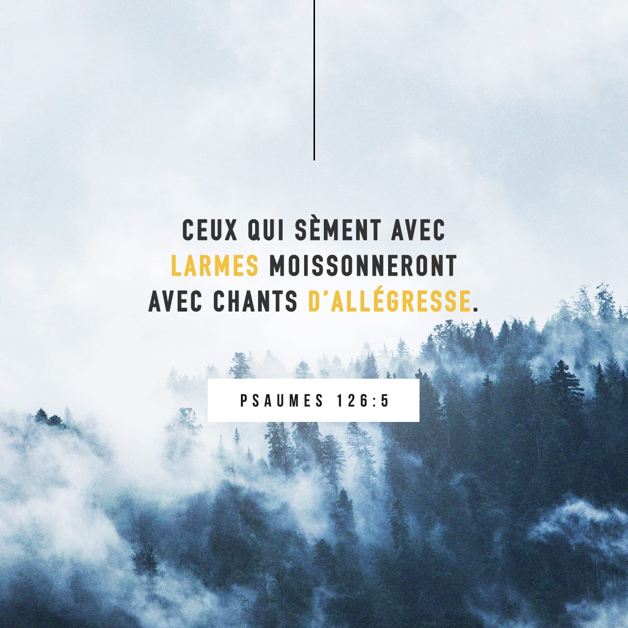 Les Psaumes 12656 Ceux qui sèment dans les larmes récoltent en