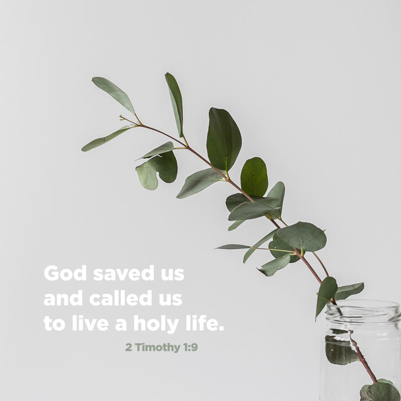2 Timothy 1 9 For God Saved Us And Called Us To Live A Holy Life He 2-timothy-1-9-for-god-saved-us-and-called-us-to-live-a-holy-life-he