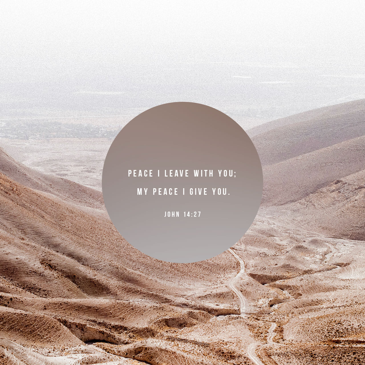 Peace I leave with you; my peace I give you. - John 14:27 - Verse Image