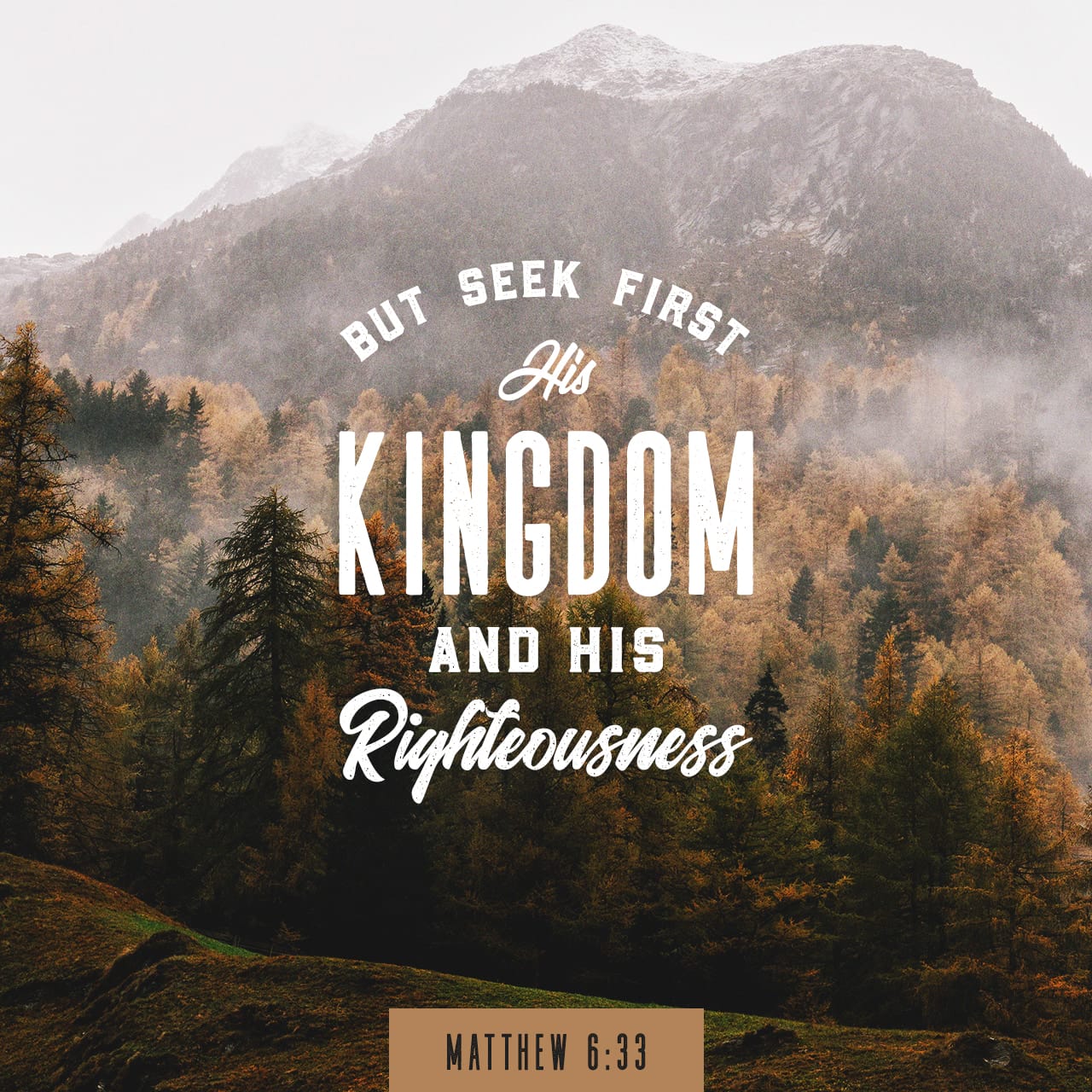 Matthew 6 33 Seek The Kingdom Of God Above All Else And Live 