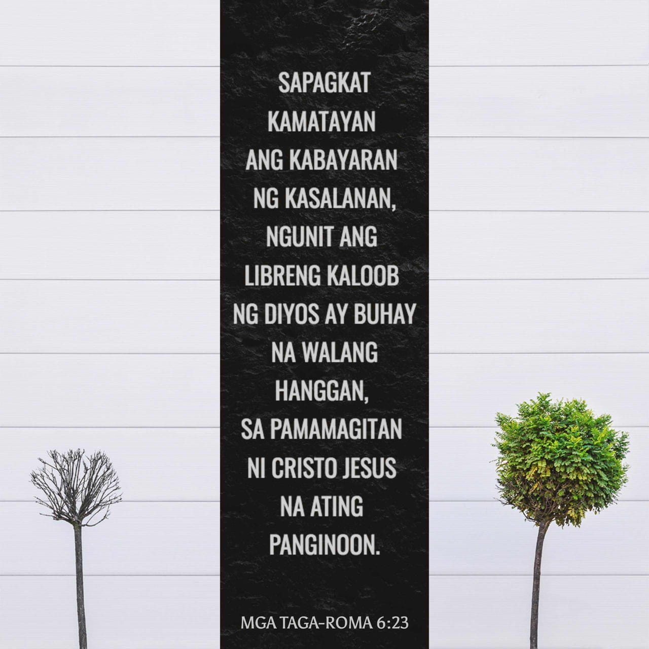 Mga Taga-Roma 6:23 Sapagkat Kamatayan Ang Kabayaran Ng Kasalanan ...