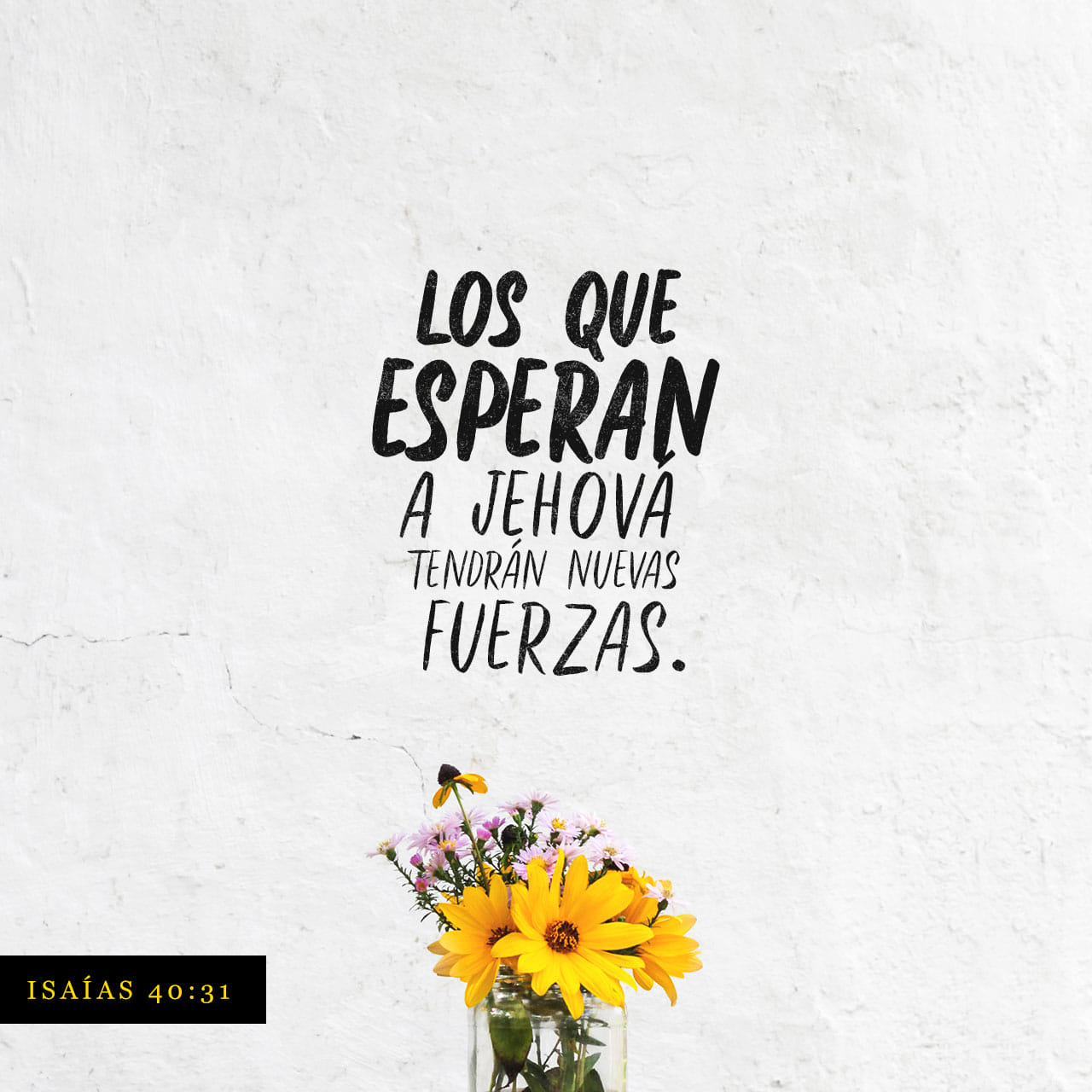 isa-as-40-26-31-isa-as-dijo-levanten-los-ojos-al-cielo-qui-n-ha