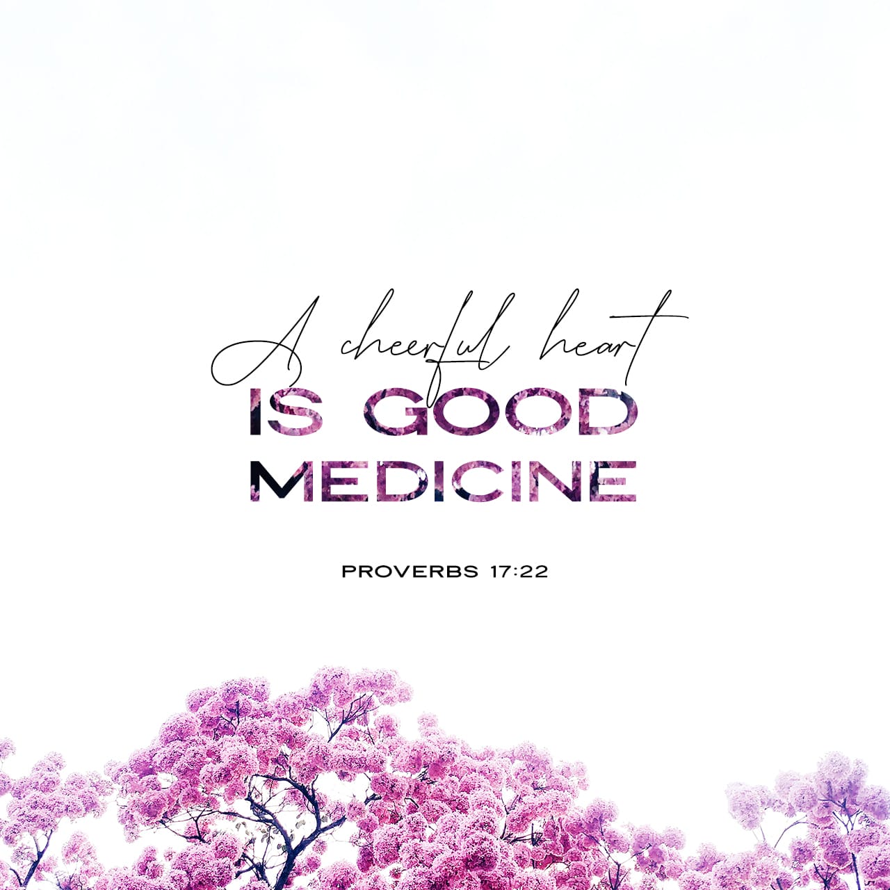 proverbs-17-22-a-cheerful-heart-is-good-medicine-but-a-broken-spirit