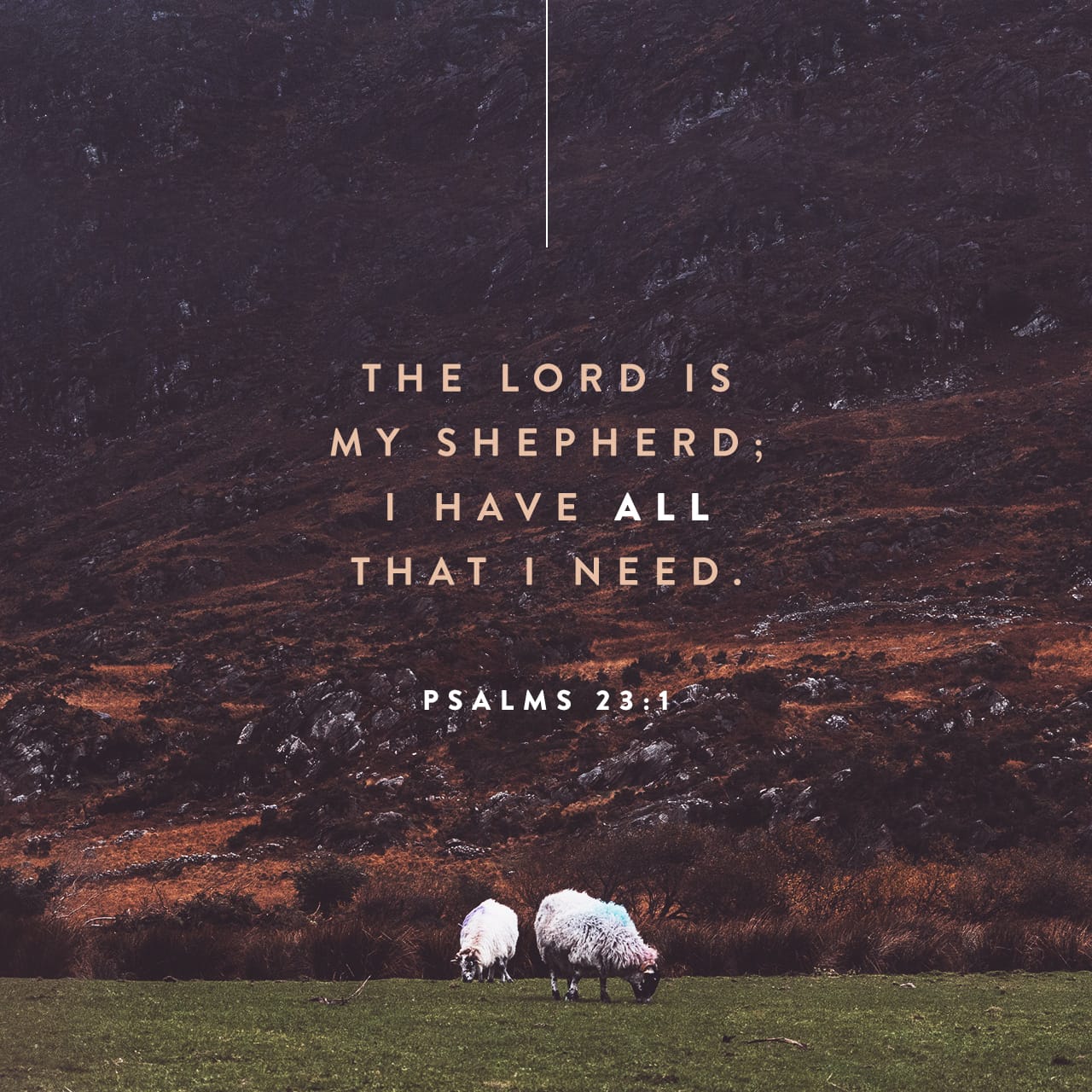 Psalms 23 1 The LORD Is My Shepherd I Lack Nothing New 