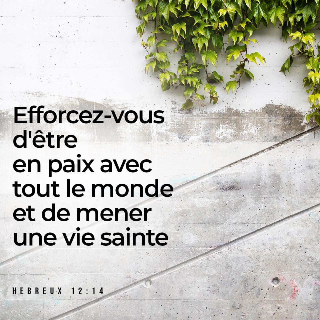 Lettre aux Hébreux 1214 Cherchez à vivre en paix avec tout le monde et