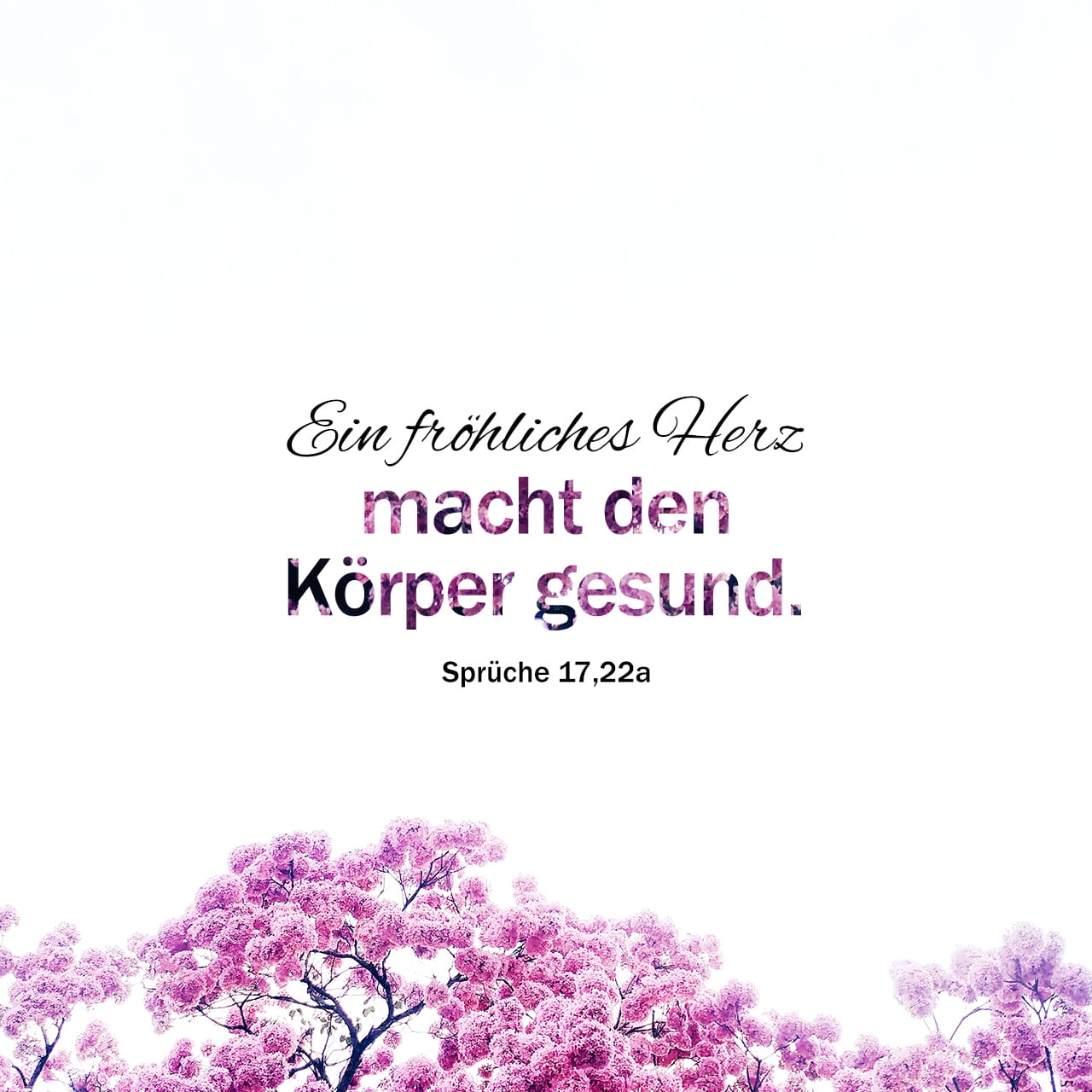 Get Sprueche unlogische For Free