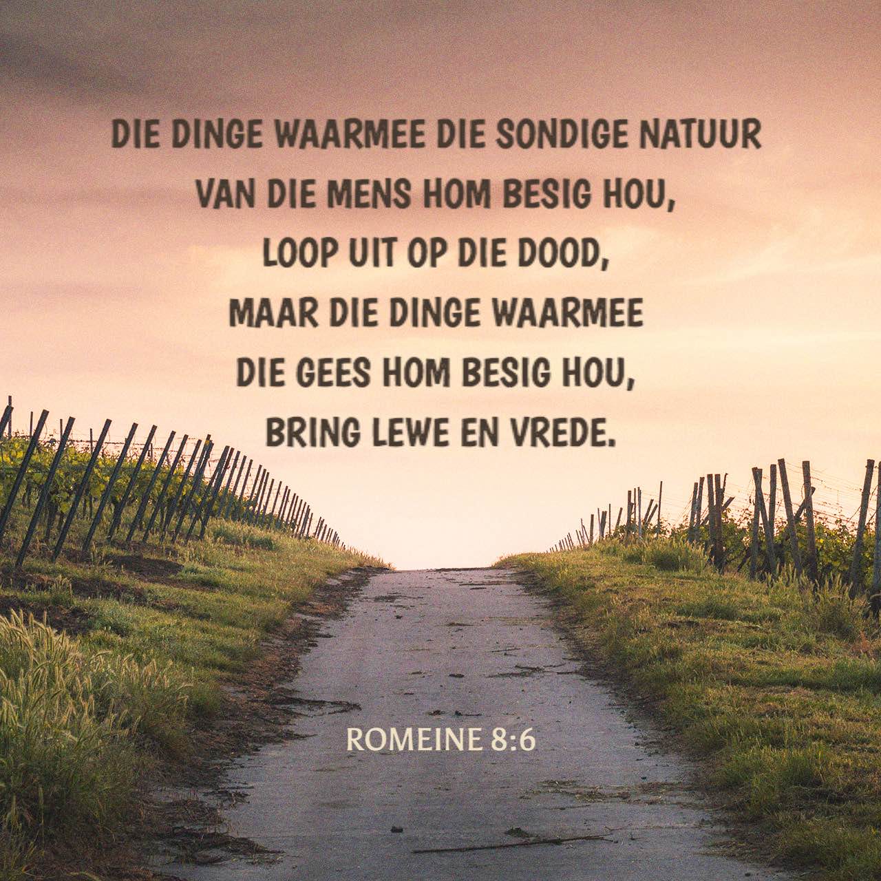 Romeine 86 As Jou Sondige Natuur Jou Denke Oorheers Lei Dit Tot Die Dood Maar As Die Gees Jou 