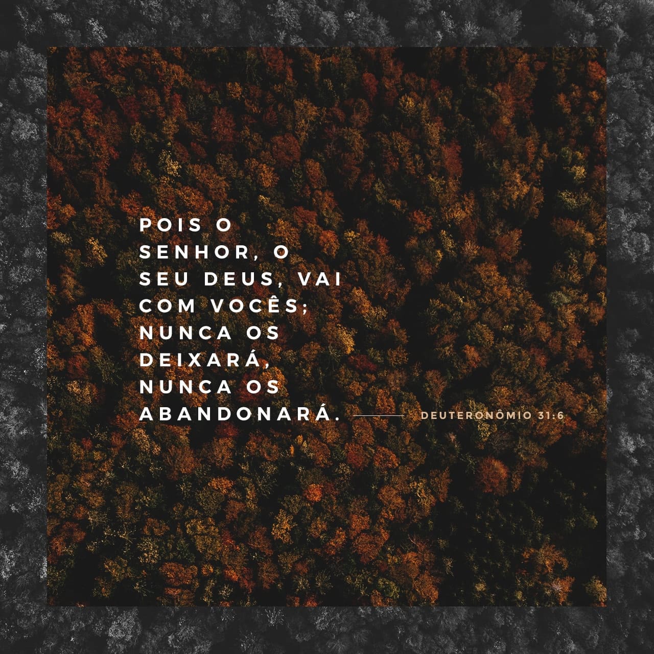 Deuteronômio 31:6-8 Sejam fortes e corajosos; não se assustem, nem ...