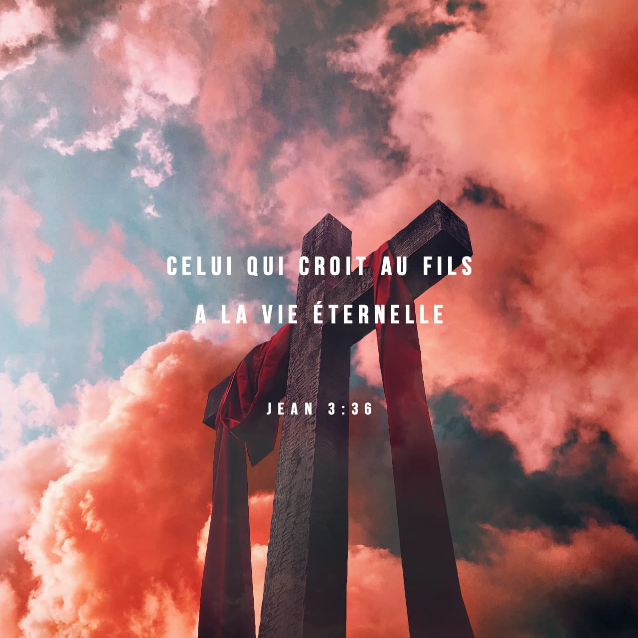 Bonne Nouvelle selon Jean 336 Celui qui croit au Fils a la vie avec
