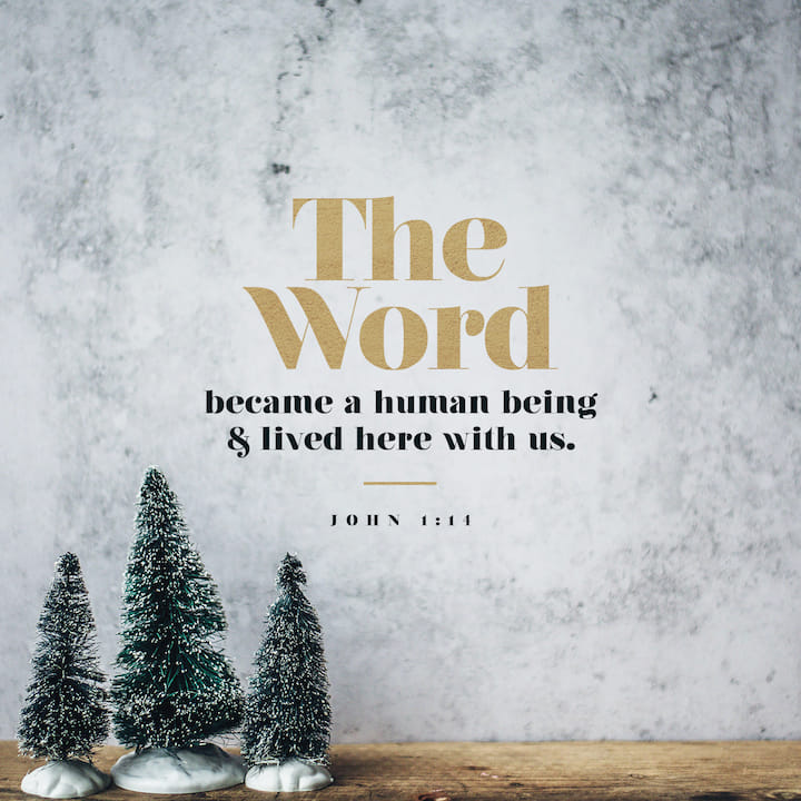 John 114 And the Word was made flesh, and dwelt among us, (and we beheld his glory, the glory