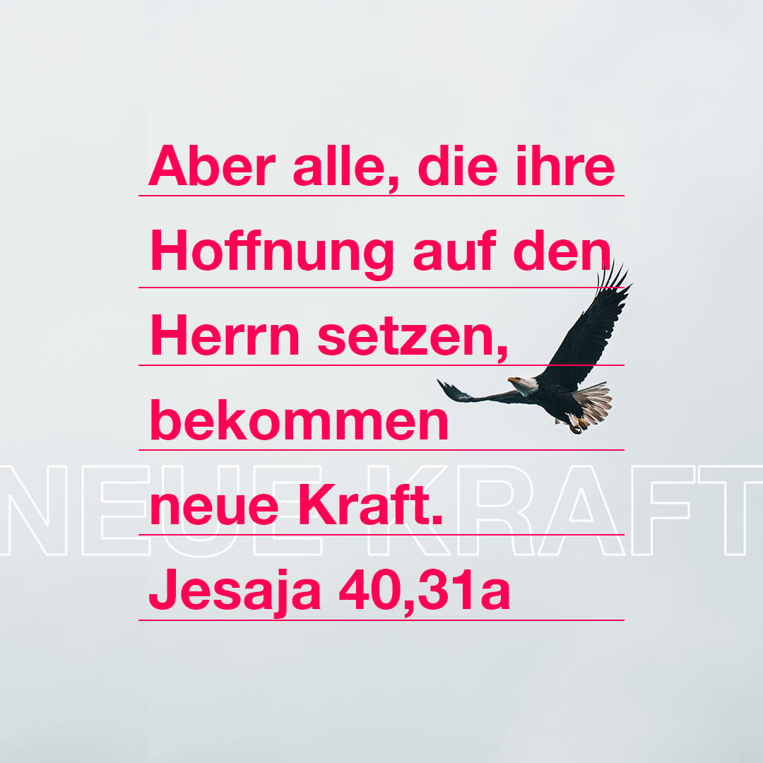 jesaja-40-31-aber-die-auf-den-herrn-harren-kriegen-neue-kraft-dass