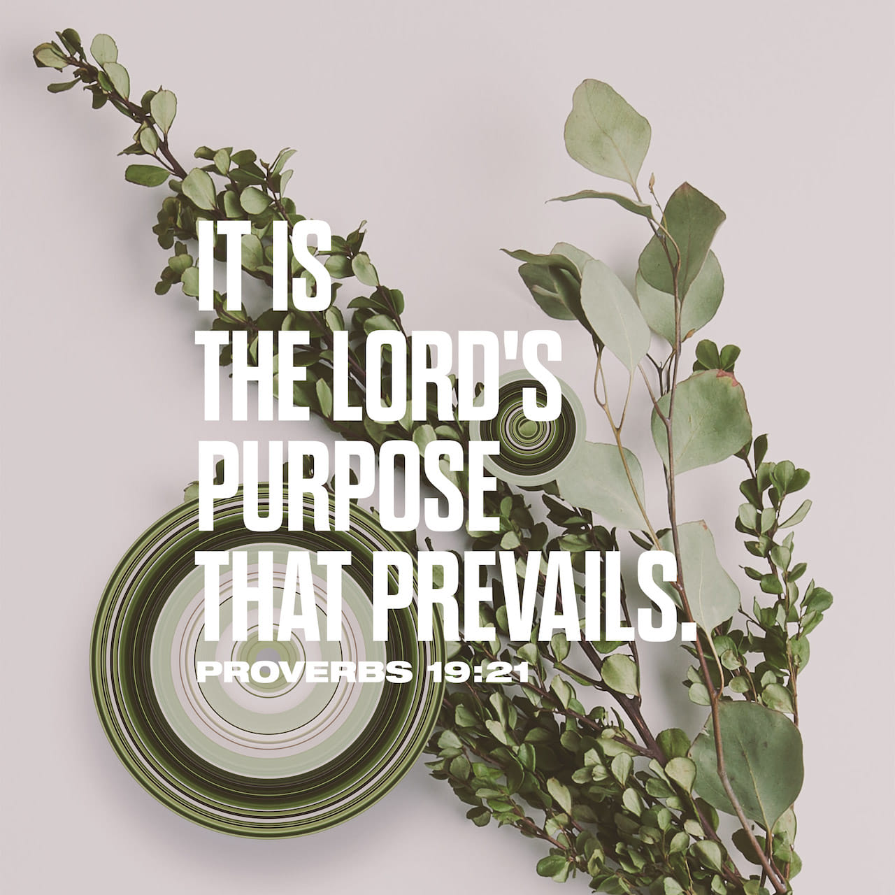 Proverbs 19 21 There Are Many Devices In A Man s Heart Nevertheless proverbs-19-21-there-are-many-devices-in-a-man-s-heart-nevertheless