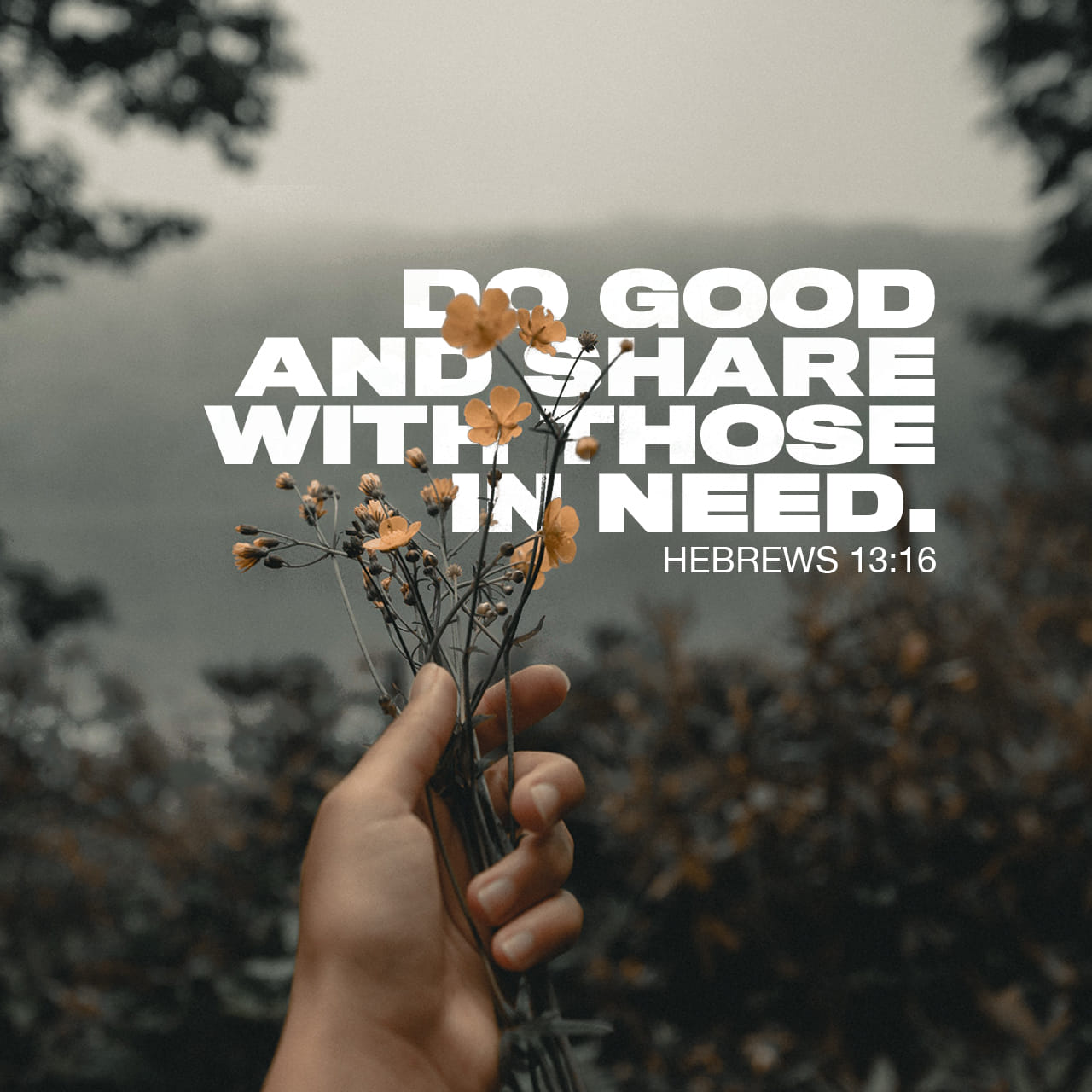 Hebrews 1316 And do not to do good and to share with others