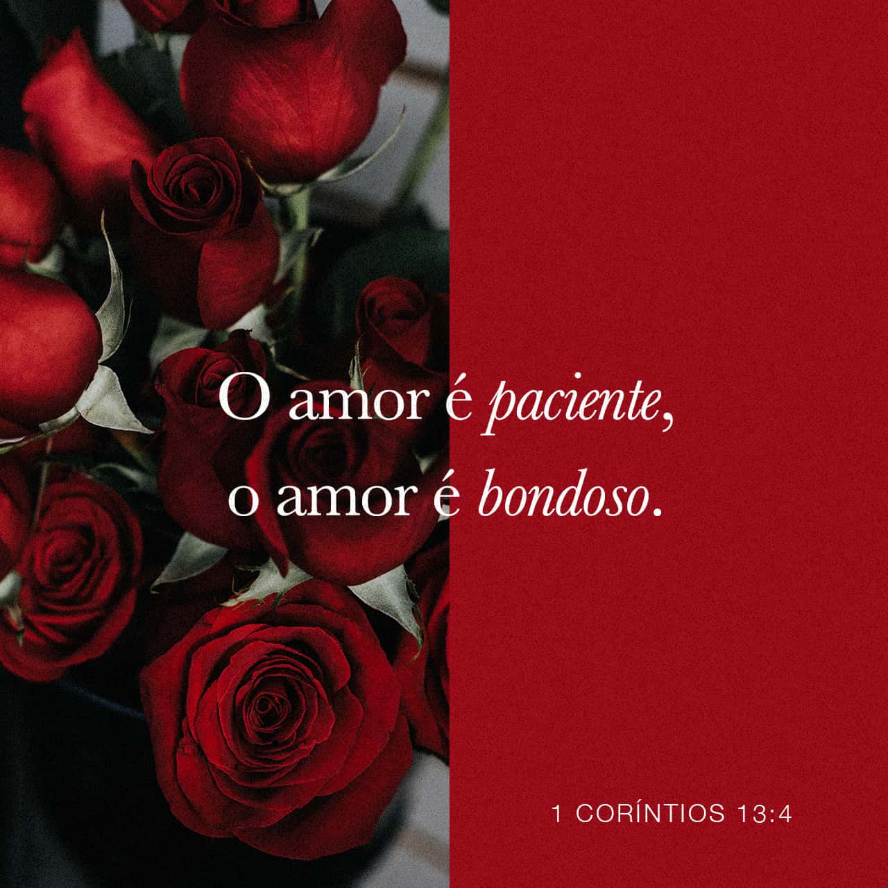 O Amor Não Se Vangloria - LIBRAIN
