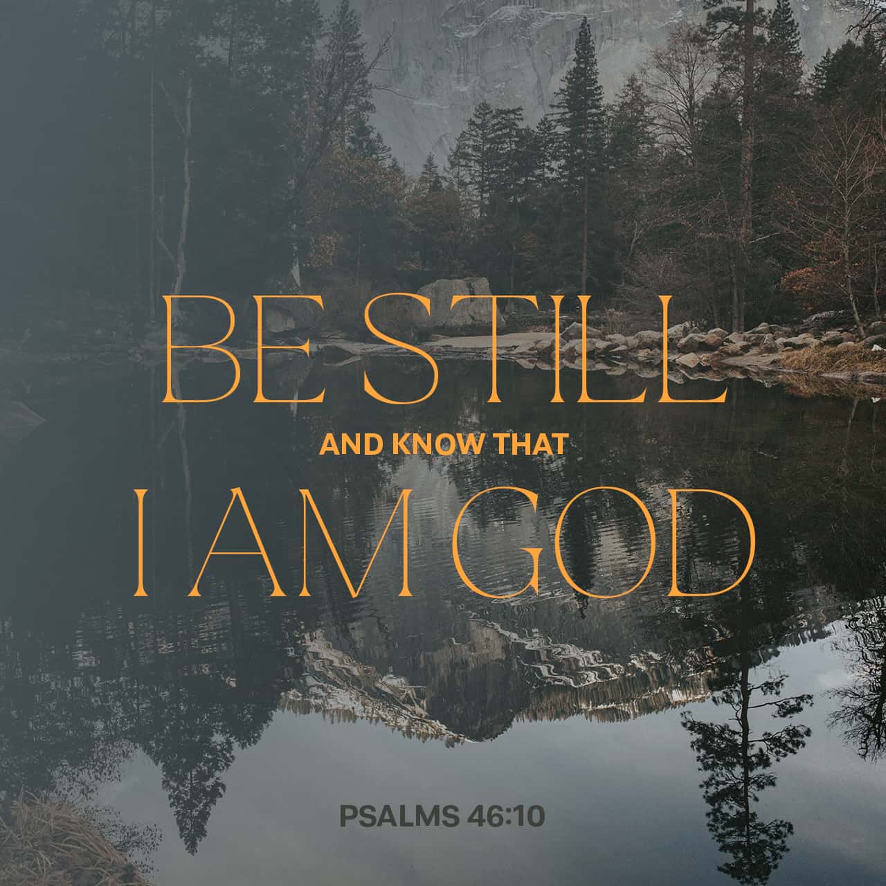 Psalms 4610 Be Still And Know That I Am God I Will Be Exalted Among The Heathen I Will Be 9358