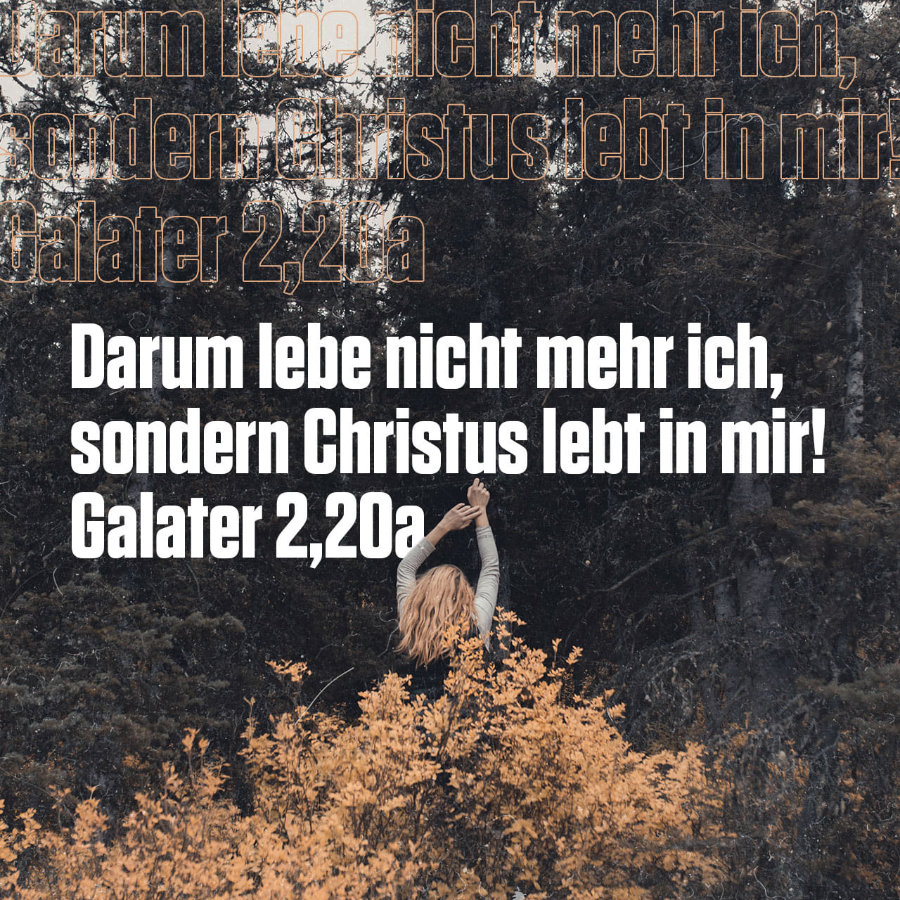 Galater 220 Ich lebe aber; doch nun nicht ich, sondern Christus lebt